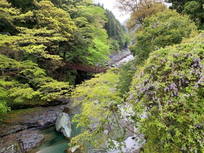 Iya Kankou Ryokan 三好市 外观 照片